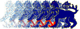 BSC Non-Graphic Logo